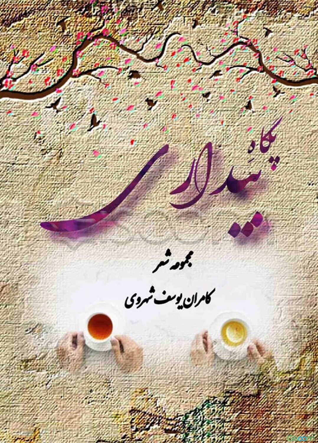 پگاه بیداری