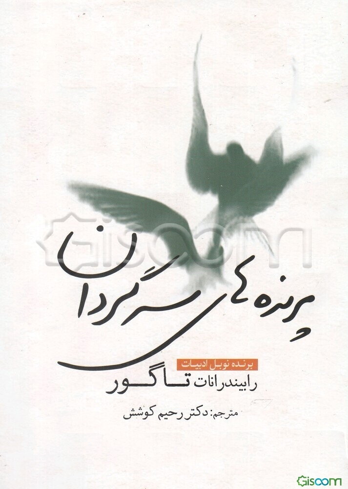 پرنده‌های سرگردان