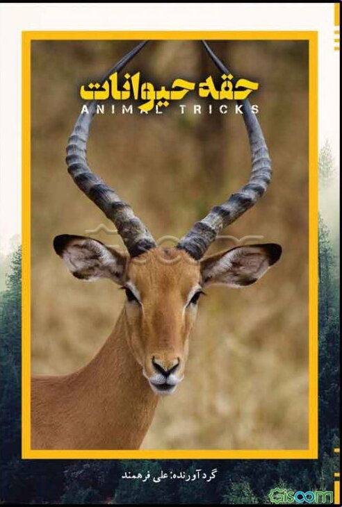 حقه‌های حیوانات