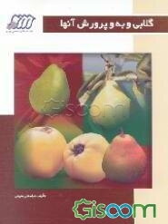 گلابی و به و پرورش آنها