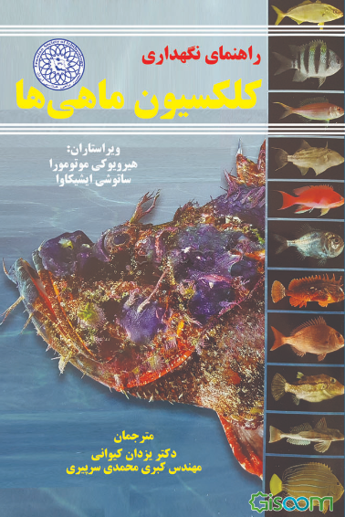 راهنمای نگهداری کلکسیون ماهی‌ها