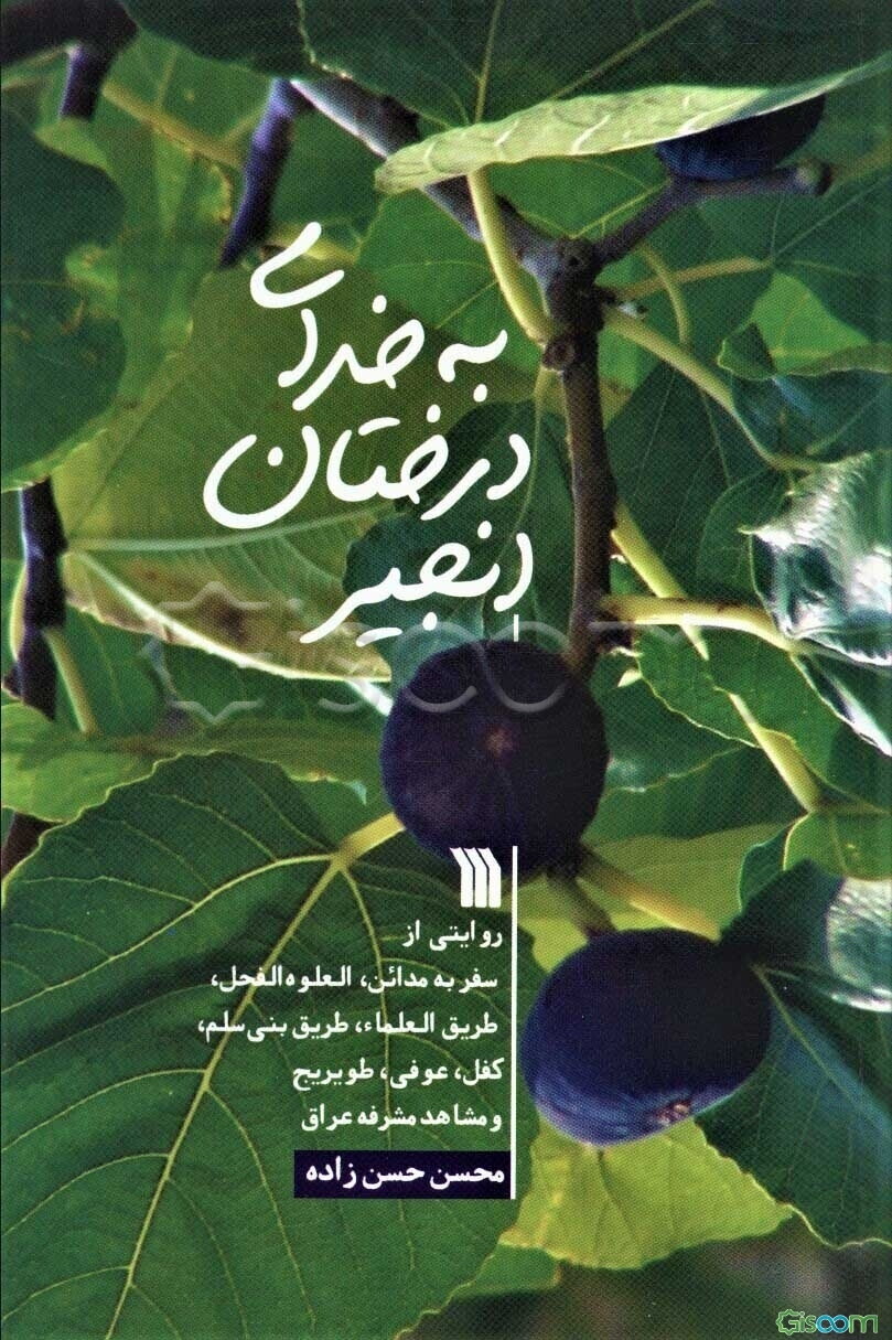 به خدای درختان انجیر: روایتی از سفر به مدائن، العلوه‌الفحل، طریق العلماء، طریق بنی‌سلم، کفل، عوفی، طویریج و مشاهد مشرفه عراق