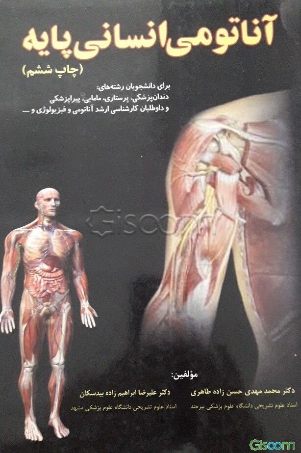 آناتومی انسانی پایه