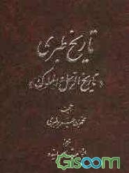 تاریخ طبری، یا، تاریخ الرسل و الملوک (جلد 10)