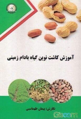 آموزش کاشت نوین گیاه بادام زمینی