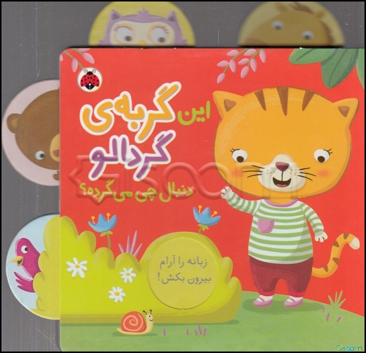 این گربه‌ی گردالو دنبال چی می‌گرده؟