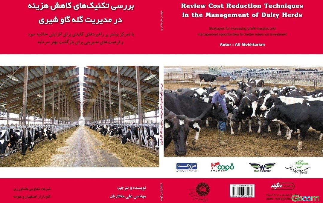بررسی تکنیک‌های کاهش هزینه در مدیریت گله گاو شیری با تمرکز بیشتر بر راهبردهای کلیدی برای افزایش حاشیه سود و فرصت‌های مدیریتی برای بازگشت بهتر سرمایه