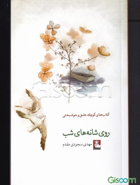 روی شانه‌های شب