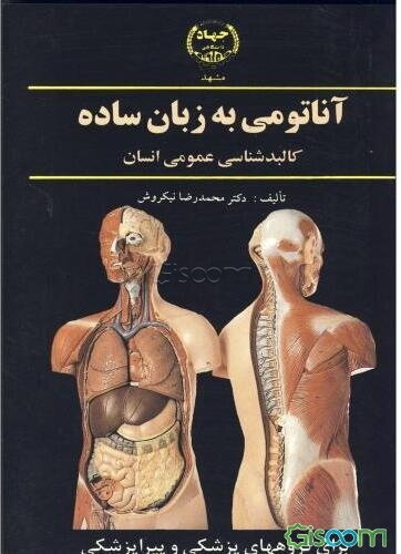 آناتومی به زبان ساده