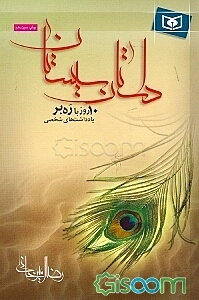 داستان سیستان: 10 روز با ره‌بر: یادداشت‌های شخصی