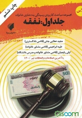 مباحث کاربردی رسیدگی به دعاوی خانوادگی: نفقه (جلد 1)