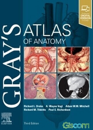 Grays atlas of anatomy 2021