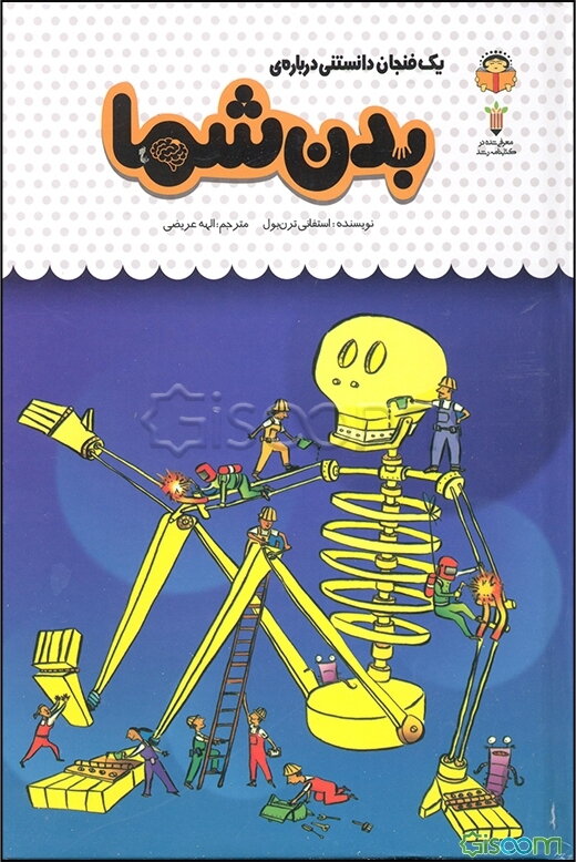 یک فنجان دانستنی درباره‌ی بدن شما