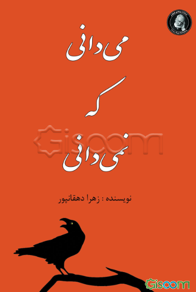 می‌دانی که نمی‌دانی