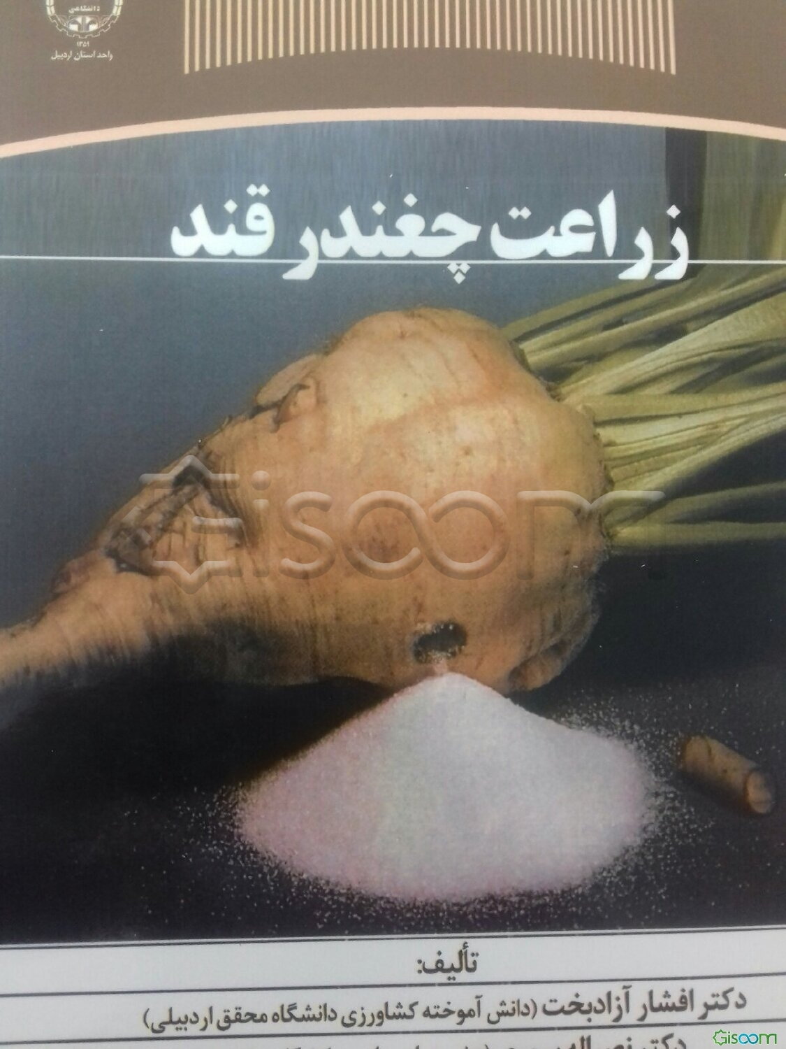 زراعت چغندر قند