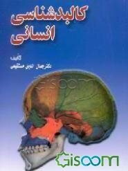 کالبدشناسی انسانی