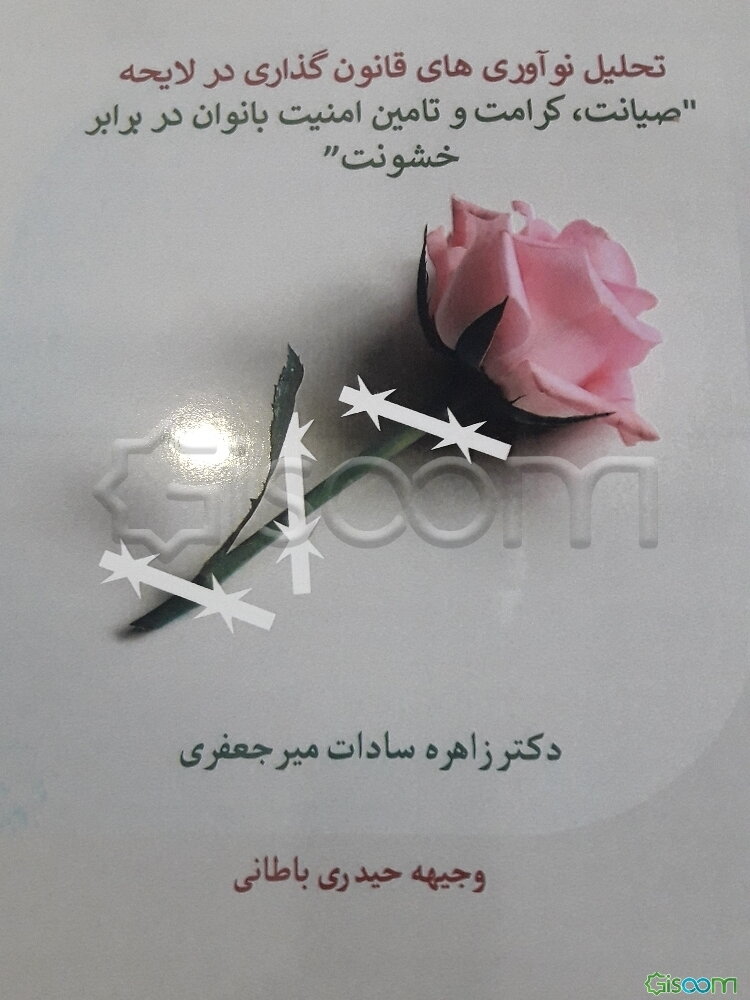 تحلیل نوآوریهای قانونگذاری در لایحه "صیانت، کرامت و تامین امنیت بانوان در برابر خشونت"