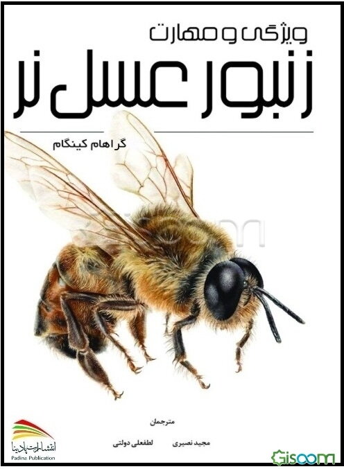 ویژگی و مهارت زنبور عسل نر