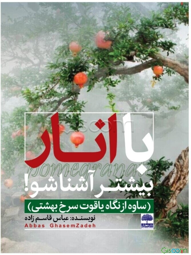 با انار بیشتر آشنا شو (ساوه از نگاه یاقوت سرخ بهشتی)