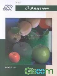 سیب و پرورش آن