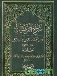 شرح ابن عقیل (جلد 2)
