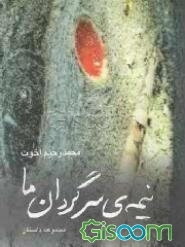 نیمه‌ی سرگردان ما: چند داستان کوتاه