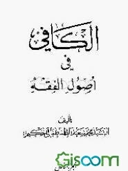الکافی فی اصول الفقه (جلد 1)