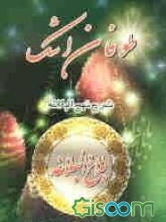 بلاغ‌البلاغه شرح نهج‌البلاغه