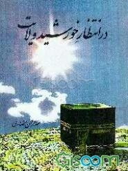 در انتظار خورشید ولایت