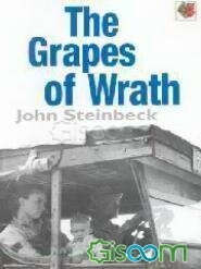 The grapes of wrath: level 5