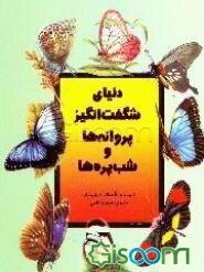 دنیای شگفت‌انگیز پروانه‌ها و شب‌پره‌ها