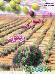 کاشت، داشت و برداشت زیتون