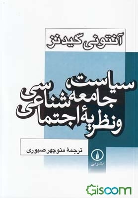 سیاست، جامعه‌شناسی و نظریه اجتماعی