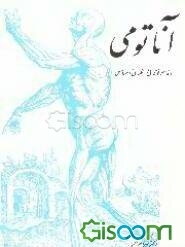 آناتومی = Anatomy، اندام‌فوقانی = Upper Limb، اندام‌تحتانی = Lower Limb، مفاصل = Joints