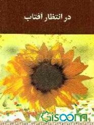 در انتظار آفتاب (بحثی پیرامون اصالت مهدویت)