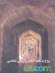 روح یا علم‌النفس و روانشناسی از دیدگاههای مختلف، خصوصا دیدگاه دانشمندان اسلامی
