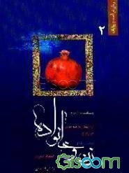 زن و خانواده (جلد 2)