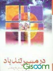 در مسیر تندباد (بررسی بیست سال ادبیات داستانی دفاع مقدس ویژه کودکان و نوجوانان)