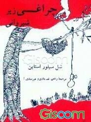 چراغی زیر شیروانی