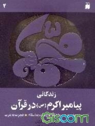 زندگانی پیامبر اکرم (ص) در قرآن: تحریم و محاصره در طائف، دعوت به اسلام، هجرت به یثرب (جلد 4)