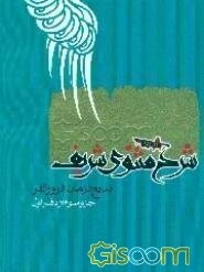 شرح مثنوی شریف: جزو سوم از دفتر اول مشتمل بر شرح ابیات از 1913 تا 3012 (جلد 1)