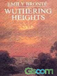 Wuthering heights: level 6