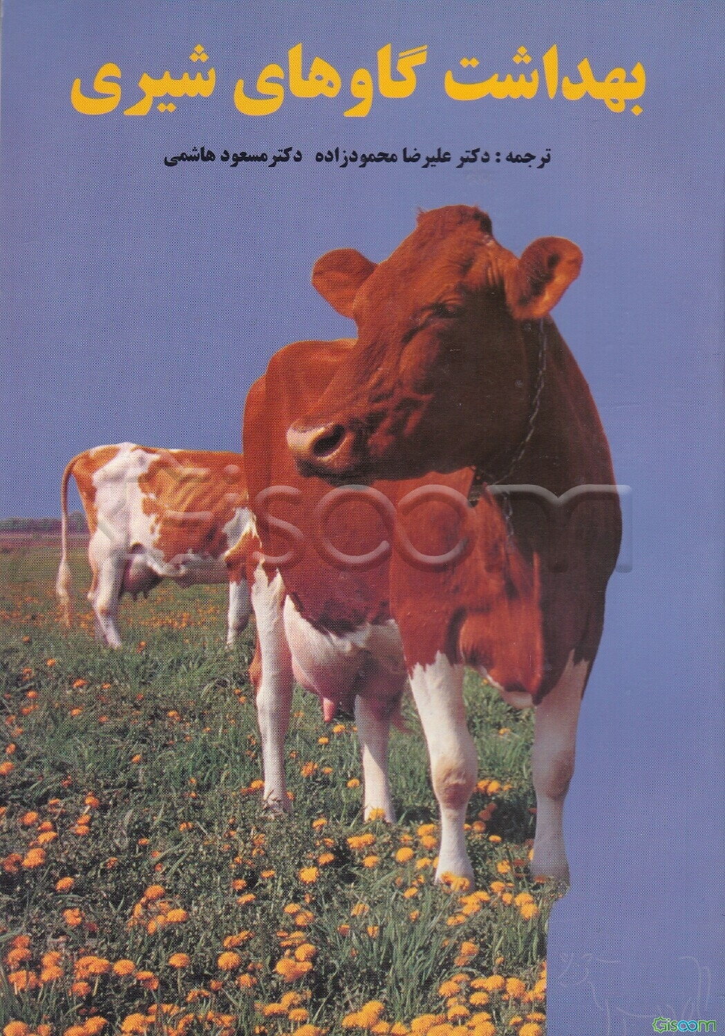 بهداشت گاوهای شیری