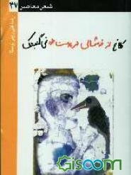 کلاغ از خوشحالی در پوست خود نمی‌گنجشک