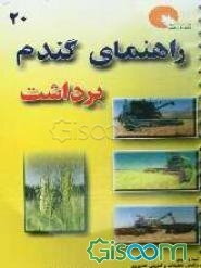 راهنمای برداشت گندم