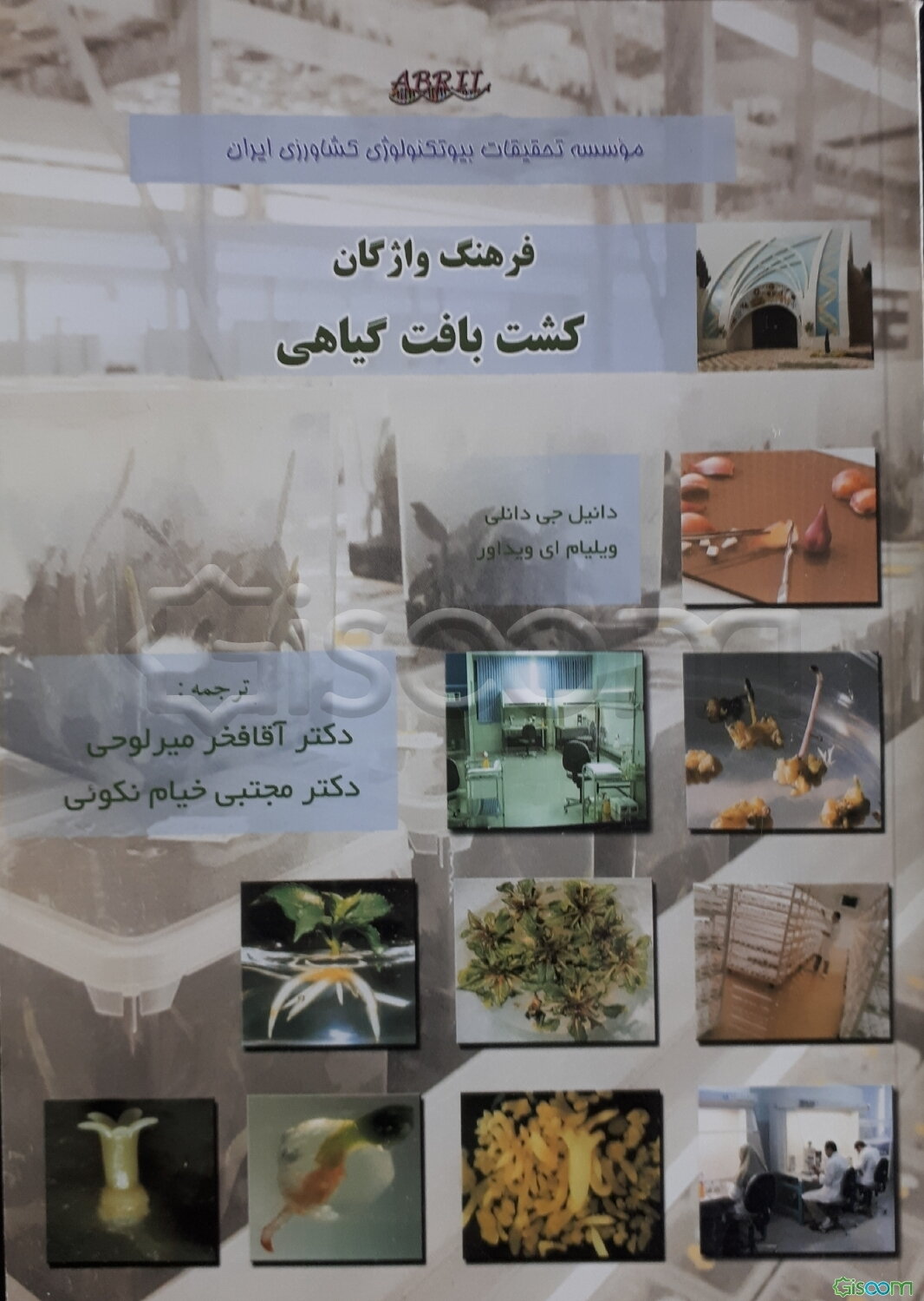 فرهنگ واژگان کشت بافت گیاهی