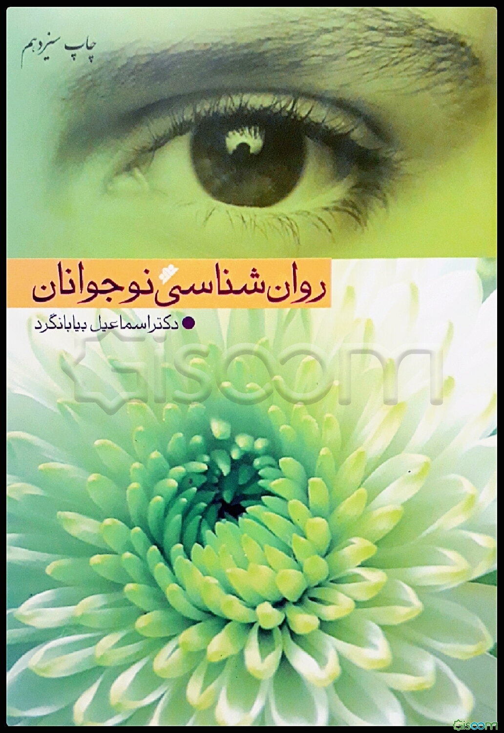 روان‌شناسی نوجوانان