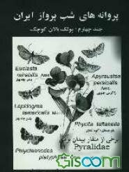 پروانه‌های شب پرواز ایران: منقار بیدان و سایر پولک‌بالان کوچک (جلد 4)