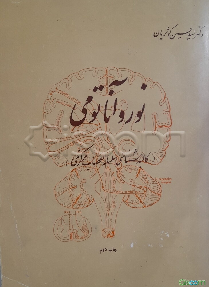 نوروآناتومی: کالبدشناسی دستگاه عصبی مرکزی