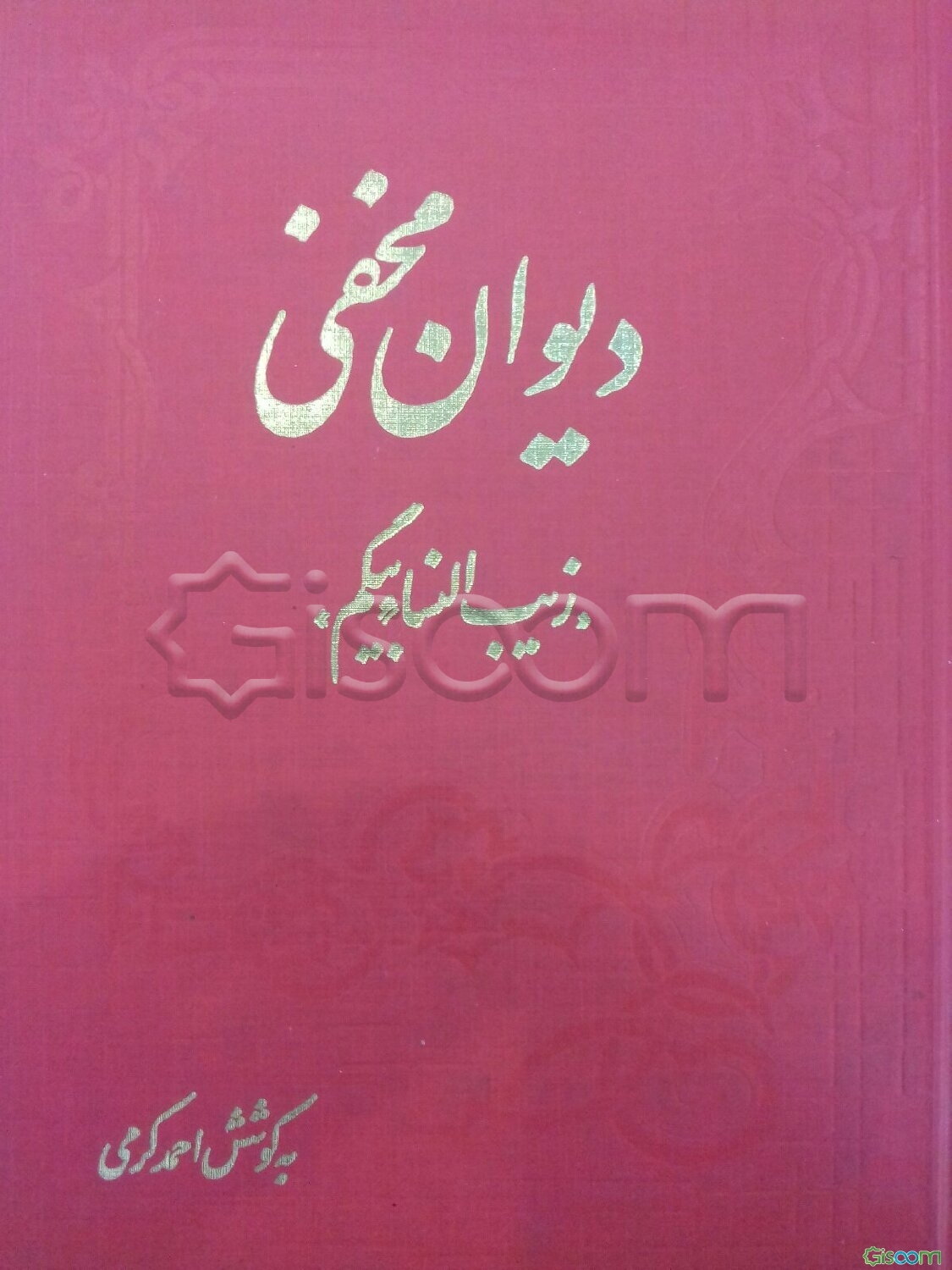 دیوان مخفی: زیب النساء بیگم